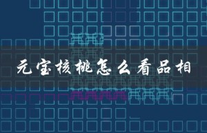 元宝核桃怎么看品相（什么是元宝核桃品种）