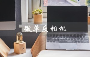 微单反相机（微单反相机品牌前十）
