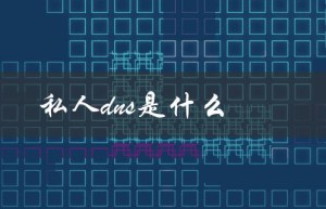 私人dns是什么（什么是私人DNS）