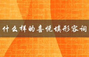 什么样的喜悦填形容词（什么样的妈妈最好）