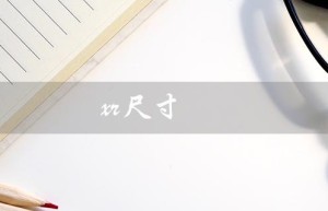 xr尺寸（XR尺寸有多大）