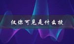 仅你可见是什么梗（网络用语解析）
