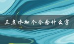 三点水加个令念什么字（三点水加四个是什么）