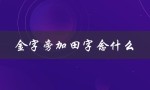 金字旁加田字念什么（金字旁田是啥字）