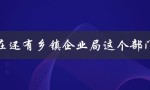 了解乡镇企业局的现状和作用