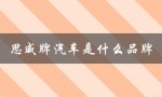 思威牌汽车是什么品牌（思威汽车品牌及价格）