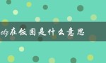 clz在饭圈是什么意思（饭圈中的vocal是什么）