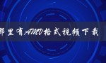 哪里有AMV格式视频下载（如何下载AMV格式视频）