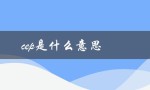 cep是什么意思（汽车cep是啥）