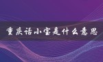 重庆话小宝是什么意思（重庆话莎莎舞是啥）