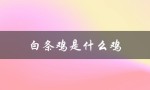 白条鸡是什么鸡（黑爪白条鸡是什么）