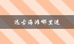 远古海滩哪里进（远古海滩如何进入）