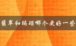 翡翠和玛瑙哪个更好一些（翡翠与玛瑙的区别）