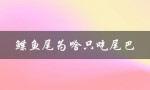 鲽鱼尾为啥只吃尾巴（鲽鱼为何只吃头）