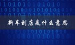 新车到店是什么意思（新车店保的含义是什么）