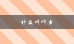 什么叫叶虫（虫竿是什么）