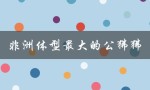 非洲体型最大的公狒狒（哪种狒狒体型最大）