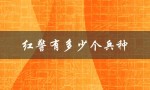 红警有多少个兵种（红警2有几种兵）