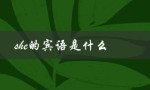 she的宾语是什么（她和他的宾语分别是什么）