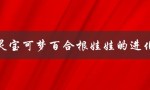 精灵宝可梦百合根娃娃的进化型（花舞莉莉丝）
