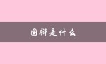 国辩是什么（国辩何时开始）