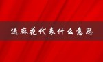 送麻花代表什么意思（小麻花的寓意是什么）
