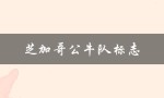 芝加哥公牛队标志（公牛队标志倒过来是什么）