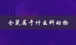 仓鼠属于什么科动物（仓鼠饲养有哪些禁忌）