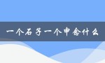 一个石子一个申念什么（探寻自然之美）