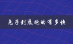 兔子到底跑的有多快（兔子喝水吗）