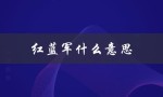 红蓝军什么意思（蓝军是什么）