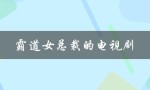 霸道女总裁的电视剧（特种兵爱上女总裁）