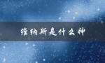 维纳斯是什么神（维纳斯是哪个神话女神）