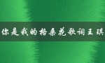 你是我的格桑花歌词王琪（我是你的格桑花原唱是谁）