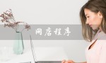 网店程序（网店程序员是谁）