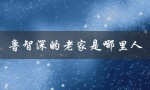 鲁智深的老家是哪里人（鲁智深的故乡是哪里）