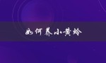 如何养小黄蛉（黄蛉怎样才能开叫）