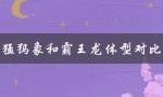猛犸象和霸王龙体型对比（猛犸象与大象的体型差异）