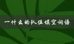 一什么的队伍填空词语（填空词语二年级是什么）