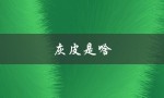 灰皮是啥（灰皮是什么）