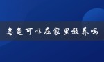 乌龟可以在家里放养吗（乌龟能否在家里放养）