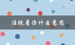 注视着你什么意思（老大哥监视你）