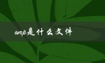 wrp是什么文件（wrap文件是什么格式）