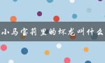 小马宝莉里的坏龙叫什么（小马宝莉动画片免费全集）