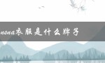 nsna衣服是什么牌子（什么是NsNa）