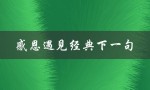 感恩遇见经典下一句（感恩遇见的后一句是什么）