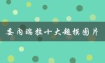 委内瑞拉十大超模图片（世界十大超模图片是什么）