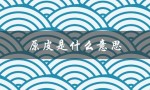 原皮是什么意思（王者原皮的含义是什么）