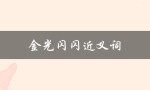 金光闪闪近义词（金光闪闪的同义词和反义词是什么）