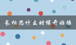 长相思什么时候开始播（杨紫长相思播出时间）